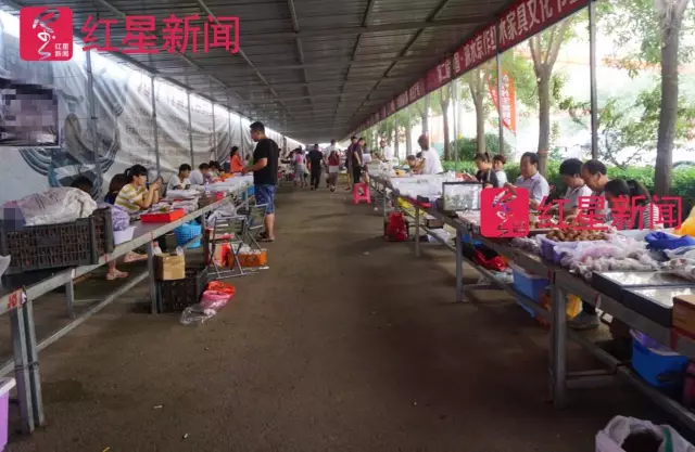文玩核桃遇冷由幾萬(wàn)一對(duì)降到5元沒(méi)人要？商戶否認(rèn)