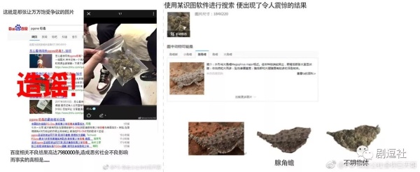 PGone又教給我們一個(gè)新詞：虐粉。