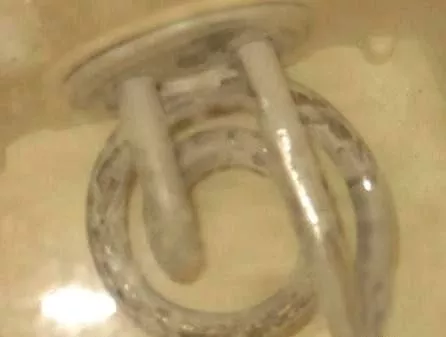 太惡心！女游客竟用酒店燒水壺煮自己的臟內(nèi)褲