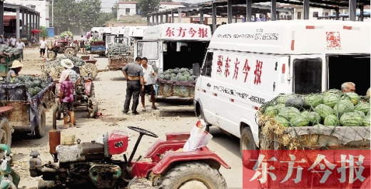 昨日，東方今報與河南福壽園聯(lián)合購瓜，只有更多的市民和企業(yè)加入購瓜行動，瓜農(nóng)們才能早日回家