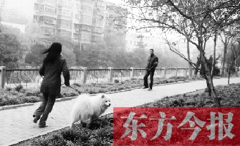 12月3日，鄭州市南關(guān)街熊兒河旁，一名遛狗的女子見到執(zhí)法人員檢查，迅速跑開