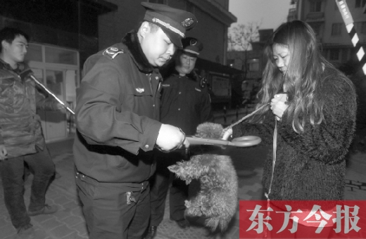12月3日早上6點(diǎn)半，鄭州市南關(guān)街熊兒河旁，南關(guān)街辦事處的執(zhí)法人員對狗進(jìn)行排查