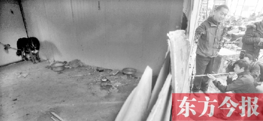 12月4日，鄭州市未來路與隴海路交叉口西側(cè)，執(zhí)法人員用吹管麻醉針對付一只藏獒