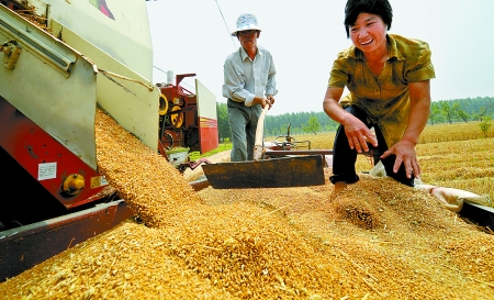 6月3日， 濮陽(yáng)開(kāi)發(fā)區(qū)胡村鄉(xiāng)后范莊村的續(xù)秀萍看著新打的粒大飽滿的小麥喜上眉梢。