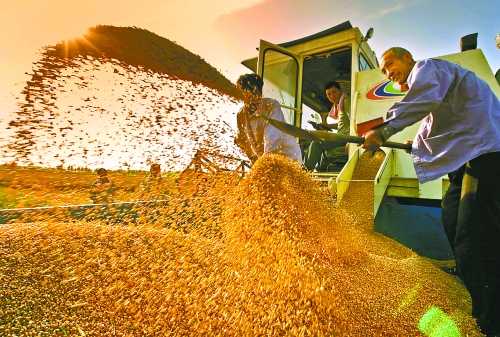 根據(jù)國家統(tǒng)計(jì)局核定結(jié)果，我省2012年糧食總產(chǎn)量達(dá)到1127.72億斤，成為第9個(gè)連續(xù)增產(chǎn)年份。