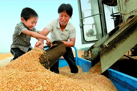5月27日，確山縣劉店鎮(zhèn)前槽村郭景蓮和小孫子一起收獲小麥，豐收的喜悅寫在了臉上。