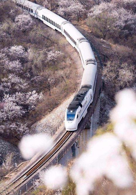 開(kāi)往春天的列車