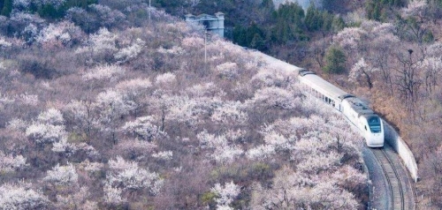 開(kāi)往春天的列車