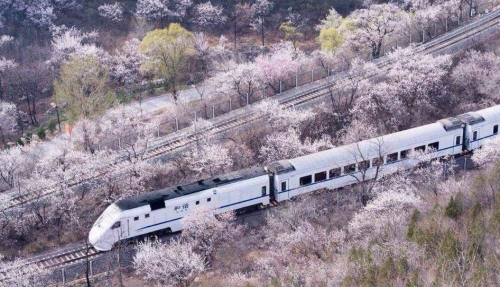 開(kāi)往春天的列車
