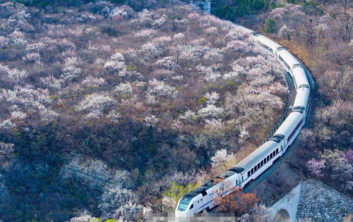 開(kāi)往春天的列車
