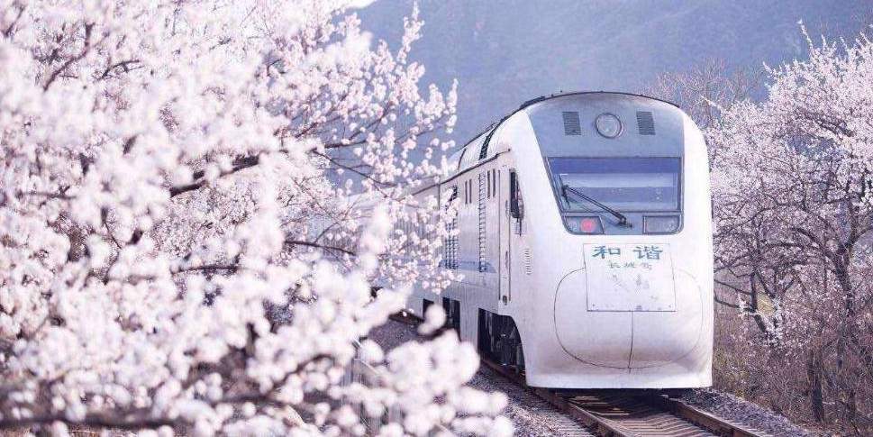 開(kāi)往春天的列車