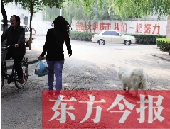 啟明一巷內(nèi)，一名女子帶著狗狗去買菜。狗隨地大小便，狗的主人未制止