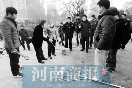 一只辦過狗證的小白狗，因?yàn)闆]有拴犬鏈，被執(zhí)法人員暫扣
