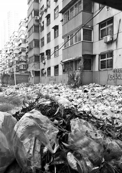 透過擋板縫向內看，30多米垃圾已經將居民樓包圍。