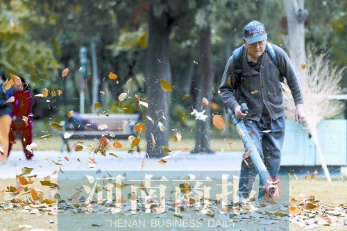 秋風吹過，落葉滿地