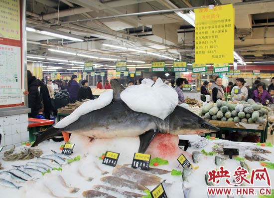鄭州市一家超市海鮮區(qū)的冰架上赫然擺著一整條鯊魚在出售，鯊魚肉價(jià)格為23.80元每斤，遠(yuǎn)低于牛羊肉的價(jià)