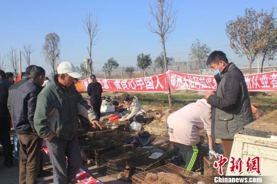 圖為百余名愛(ài)狗人士把老李的貨車攔截，數(shù)十人正在從貨車上卸下裝滿狗的鐵籠?！●R義恒　攝