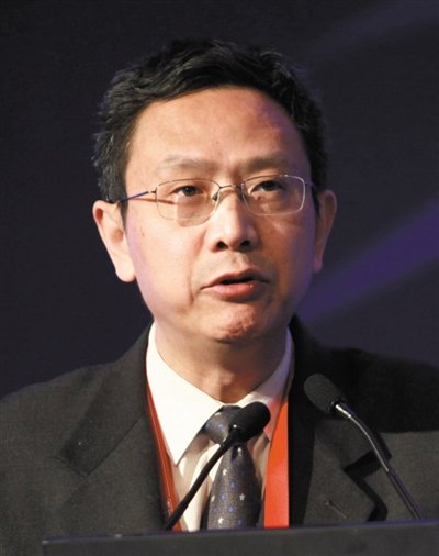 財(cái)政部財(cái)政科學(xué)研究所所長(zhǎng)賈康。圖/CFP