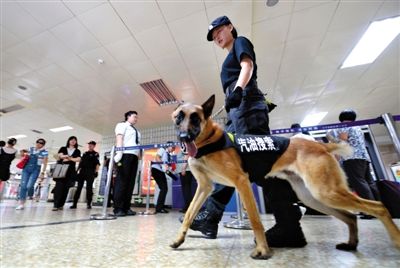 地鐵王府井站搜汽油警犬在安檢口巡邏。新京報記者 王貴彬 攝