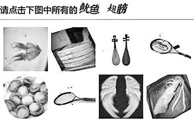 請惡補(bǔ)魷魚和章魚的區(qū)別