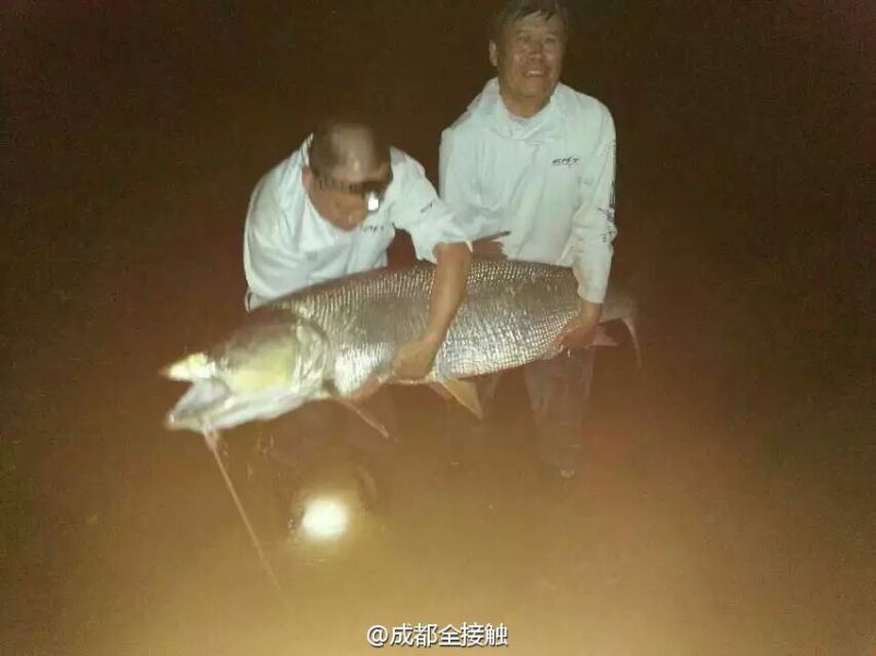 圖為大魚需要兩個(gè)人抱起。