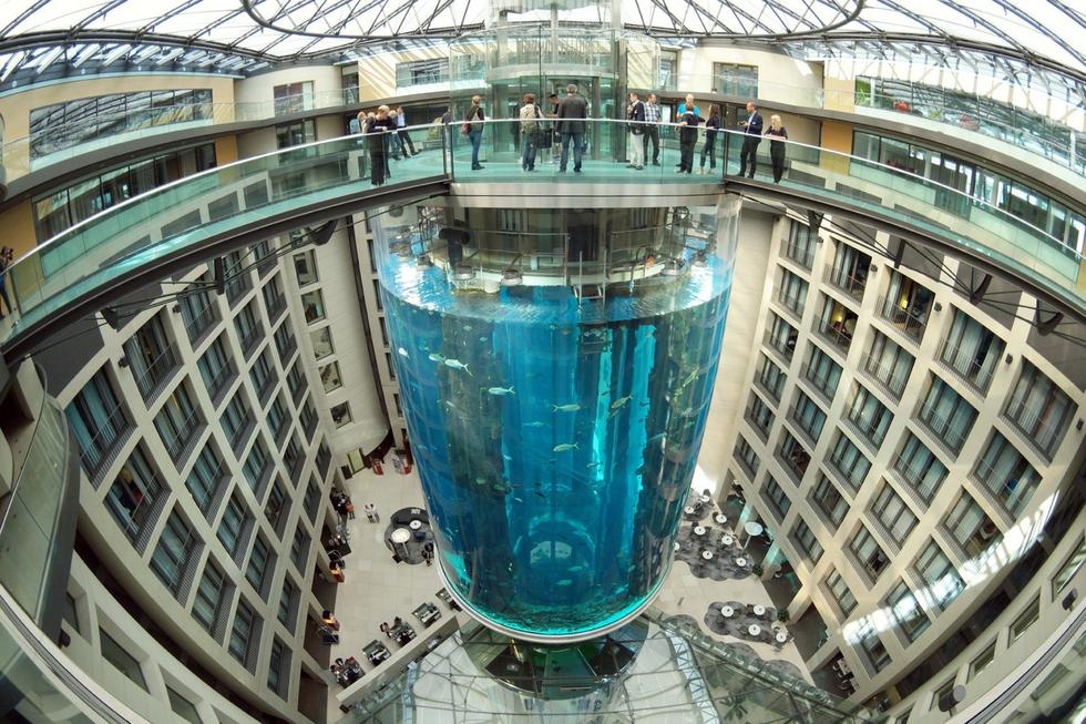 在圓柱水族館主體下方，還有一些別的展館。