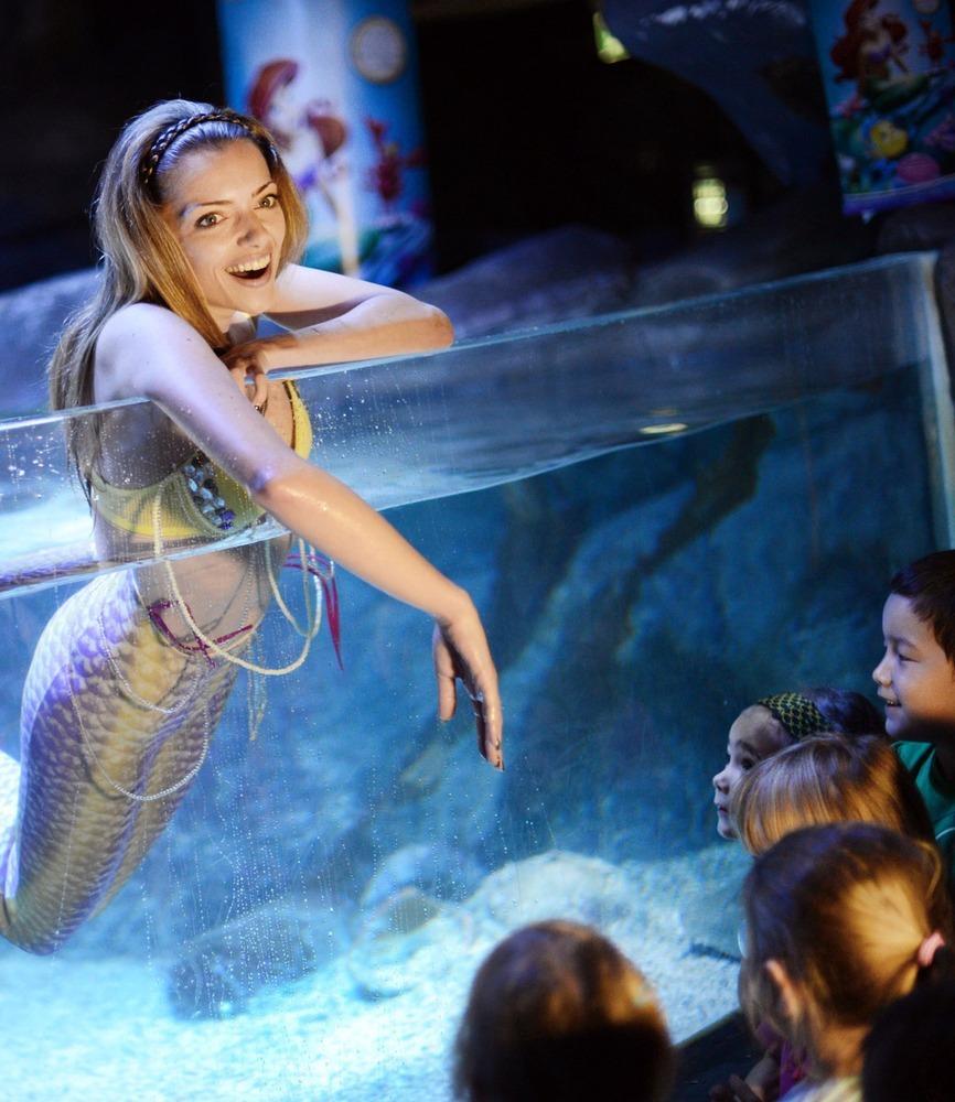 德國(guó)女演員安妮·門登在水族館里客串了一把“美人魚”，順便為她的電影《小美人魚》做宣傳。