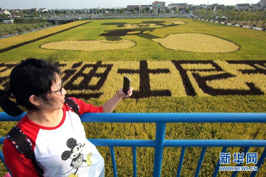 10月25日，游客在觀景臺(tái)上觀賞“米老鼠”稻田畫。