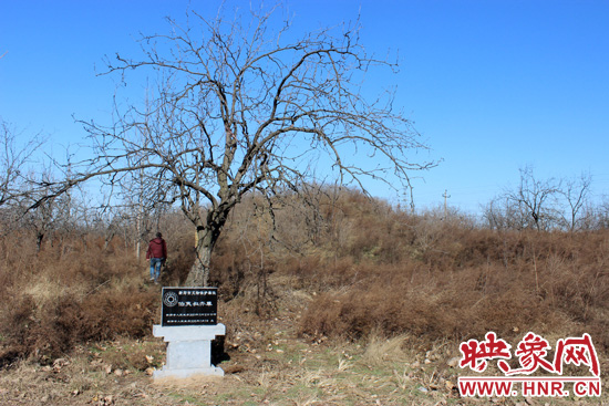 在叔齊墓的前面，豎著新鄭市人民政府今年剛立的石碑，上面寫著“新鄭市文物保護單位”。