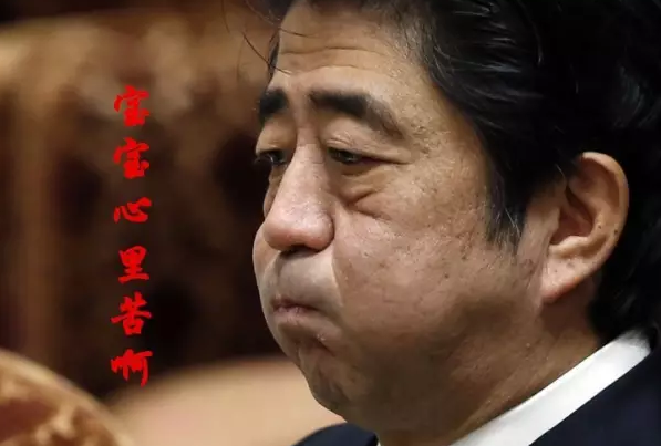 這種看安倍“熱鬧”的事兒，環(huán)環(huán)絕不私藏，一定雨露均沾!