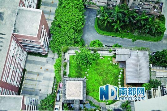 中旅商務(wù)大廈的“空中花園”。