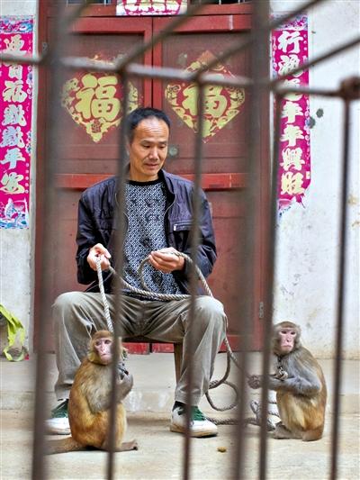 10月13日，耍猴人鮑慶山牽著從牡丹江帶回的兩只小猴在家門口玩耍。