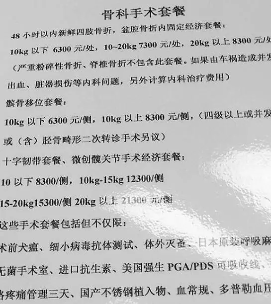 女子為給愛(ài)犬治病 從新疆開(kāi)了4天車(chē)還花費(fèi)5萬(wàn)5