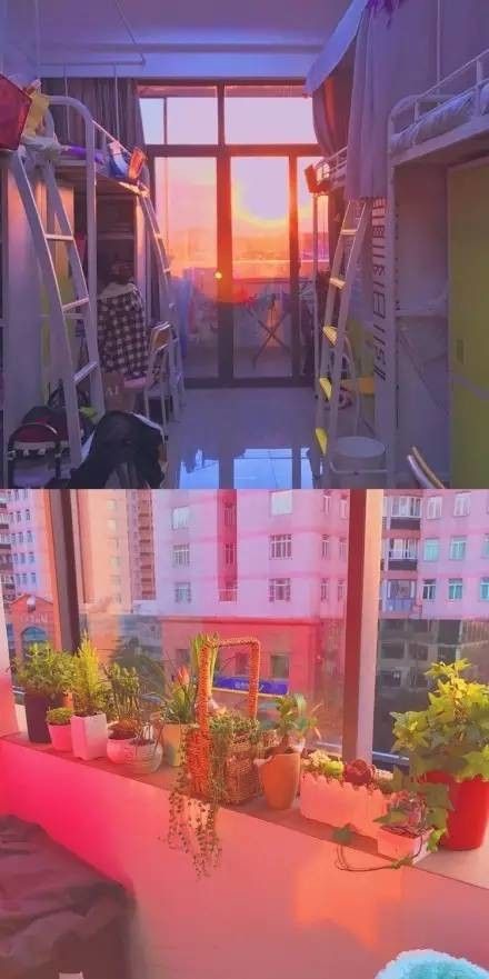 這個學(xué)校的男生宿舍火了！女同學(xué)都喊著要嫁