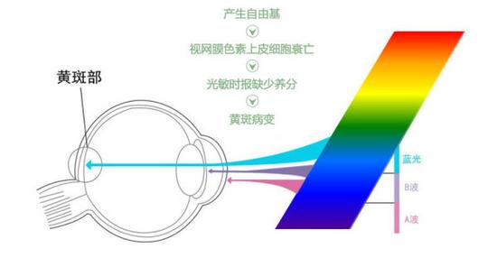 真能亮瞎眼？如何減少手機(jī)對(duì)眼睛的傷害