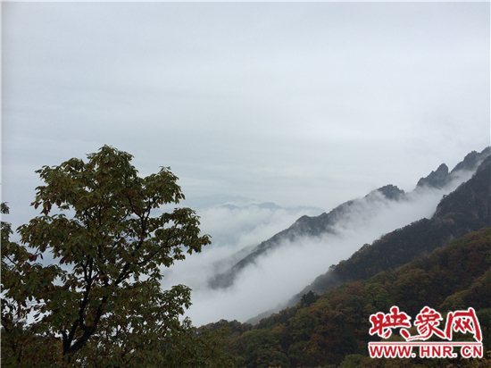 全景欒川·大美老君山 攝影大展頒獎典禮冒雨舉辦