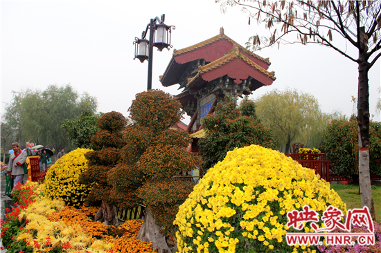 天好、花美 中國(guó)開封第32屆菊花文化節(jié)延長(zhǎng)一周