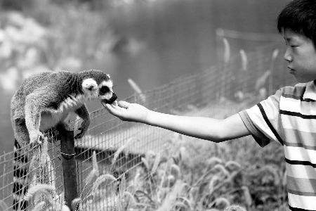 豫學(xué)生拿高考準考證半價游動物園