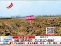 新修馬路種黃豆  如此做法為哪般？