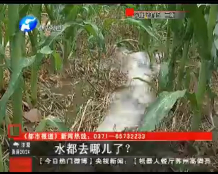 水都去哪了？