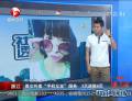 美女叫賣(mài)“手機(jī)女友”服務(wù) 3天進(jìn)賬8百