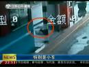 高速邊苦等十三天 主人你在哪里？