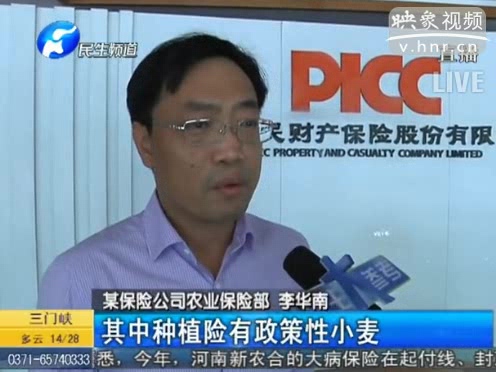 冰雹惹禍 損失能索賠嗎？