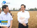 郭庚茂在新鄉(xiāng)調(diào)研時(shí)強(qiáng)調(diào) 推動新型城鎮(zhèn)化科學(xué)發(fā)展