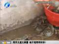 鄭開大道大閘蟹 缺斤短兩何時休？