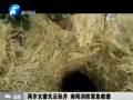 兩歲女童失足墜井 南陽(yáng)消防緊急救援